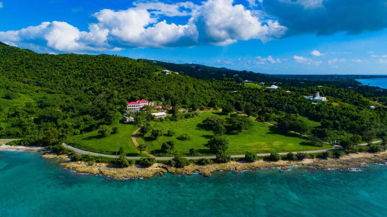 Feather Leaf Inn Frederiksted Esterno foto