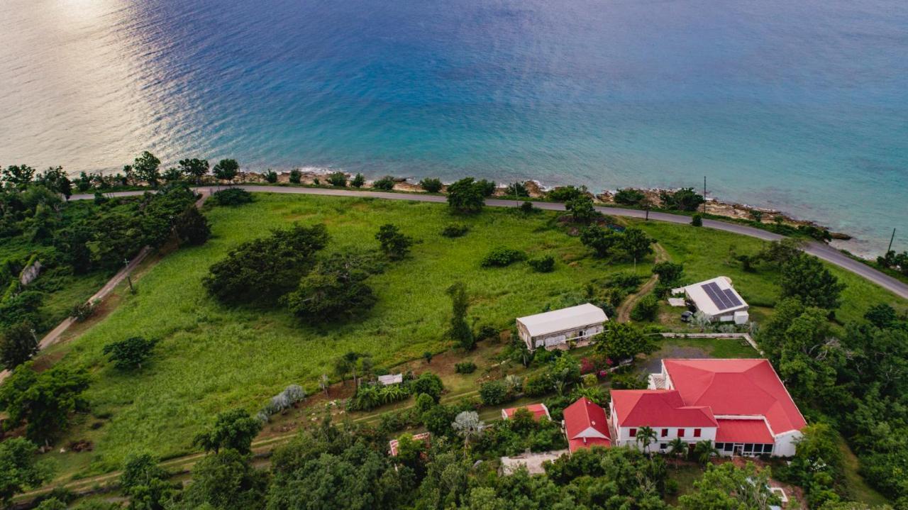Feather Leaf Inn Frederiksted Esterno foto