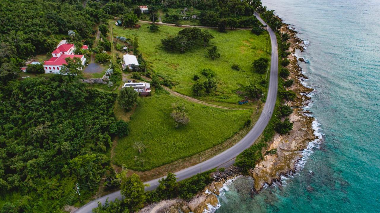 Feather Leaf Inn Frederiksted Esterno foto